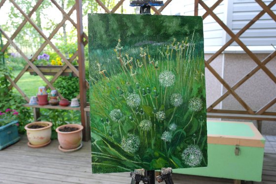 Dandelions