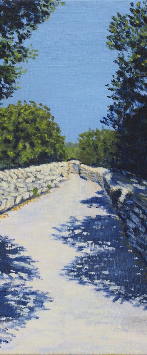 Lane near Gordes in Provence - Chemin prés de Gordes en Provence by Patricia TOURRES