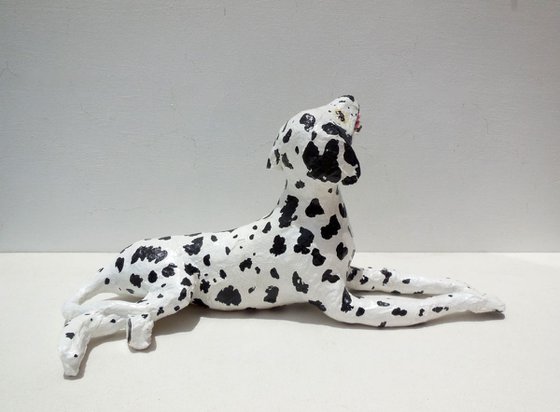 Dalmatian Dog