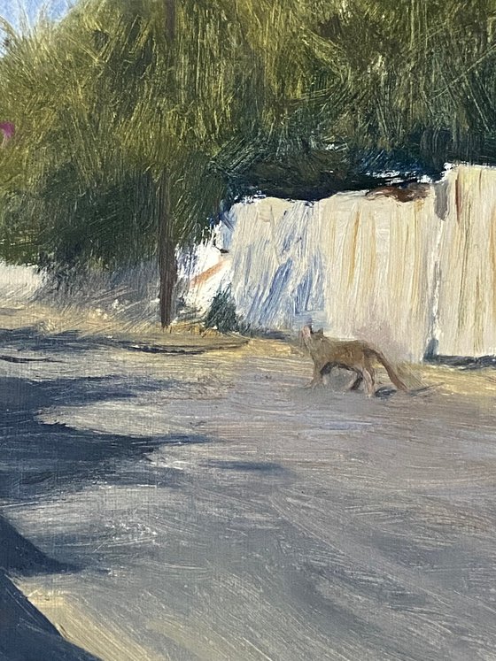 Cat Passing By