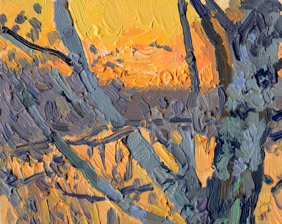April. Birch sunset