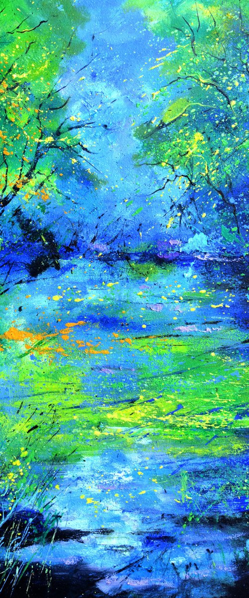 Magic pond by Pol Henry Ledent