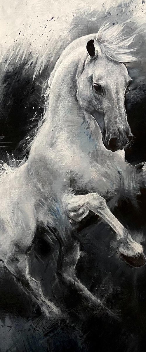 Grey Horse on panel by Paul Hardern