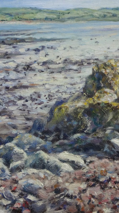 Bute Rocks by Gerry Miller