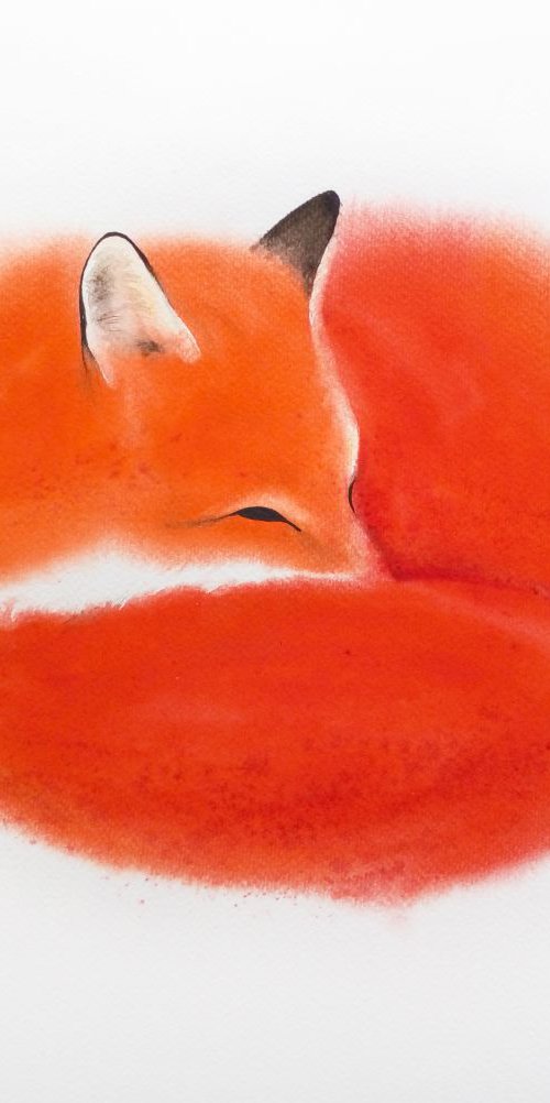 Red Fox Curls Up for a Nap #2 by Olga Beliaeva Watercolour