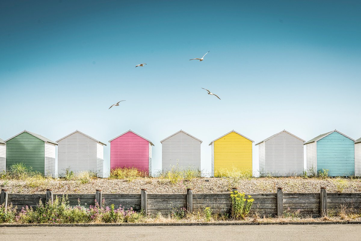 Photorealistic Landscape Photograph By Adam Regan, 36 X 24, Royal Parade, Original Artwork