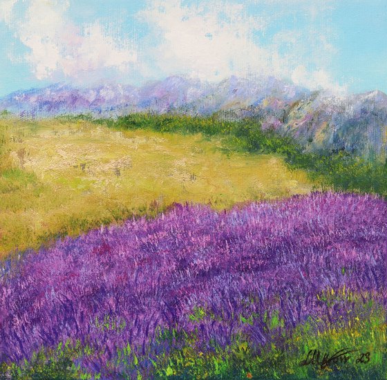 Lavender landscape