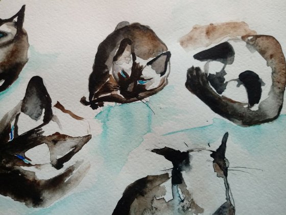 Siamese Cat Sketches