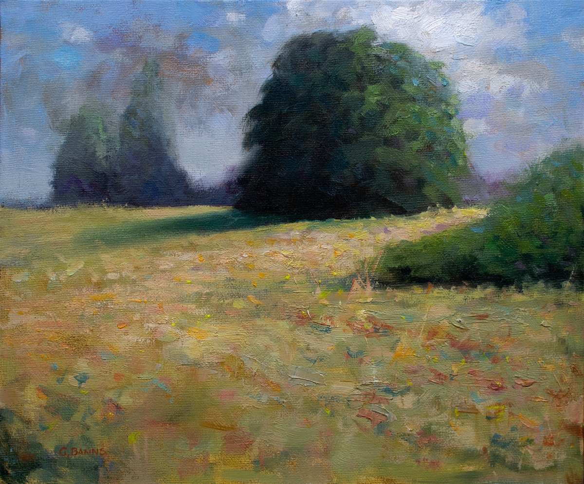 Impressionistic Landscape Oil Painting By Gav Banns, 12 X 10, Impressionist Summer Field, Grass And Wild Flower, Artfinder