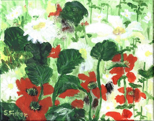 poppies and daises by Sandra Fisher