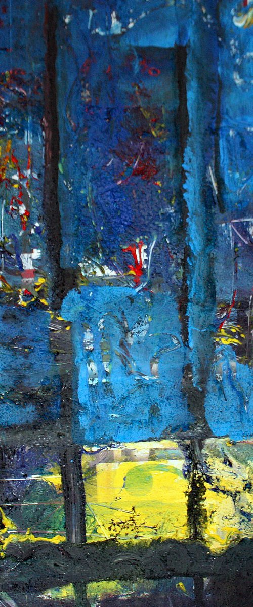 NUIT ETOILEE by Jacques Donneaud