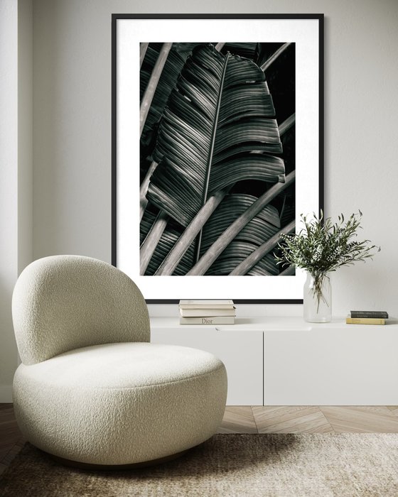 Jungle Fronds