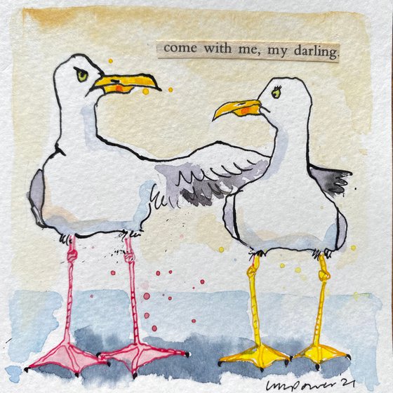 seagull darling