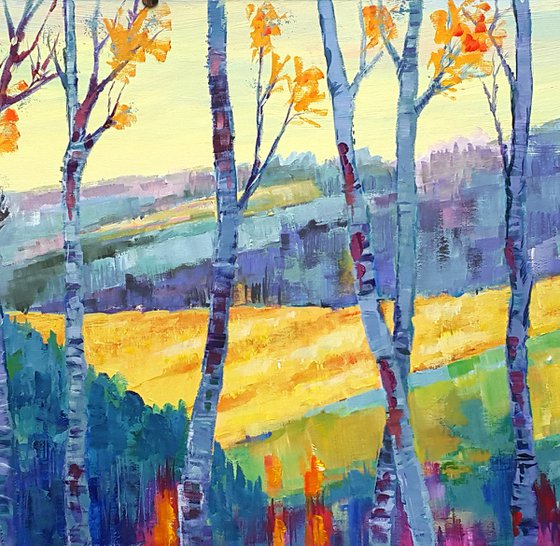 A Sunny Day In The Mountain