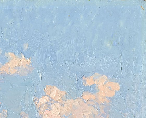 Clouds. Botanical Garden