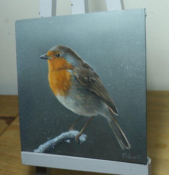 Lockdown's Morning Chorus Series - Robin in the Snow, Bird Artwork, Animal Art Framed