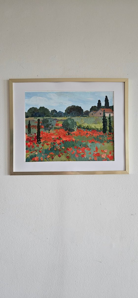 Poppies of Languedoc. French Landscape