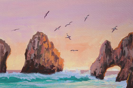 Pelicans Over Cabo San Lucas