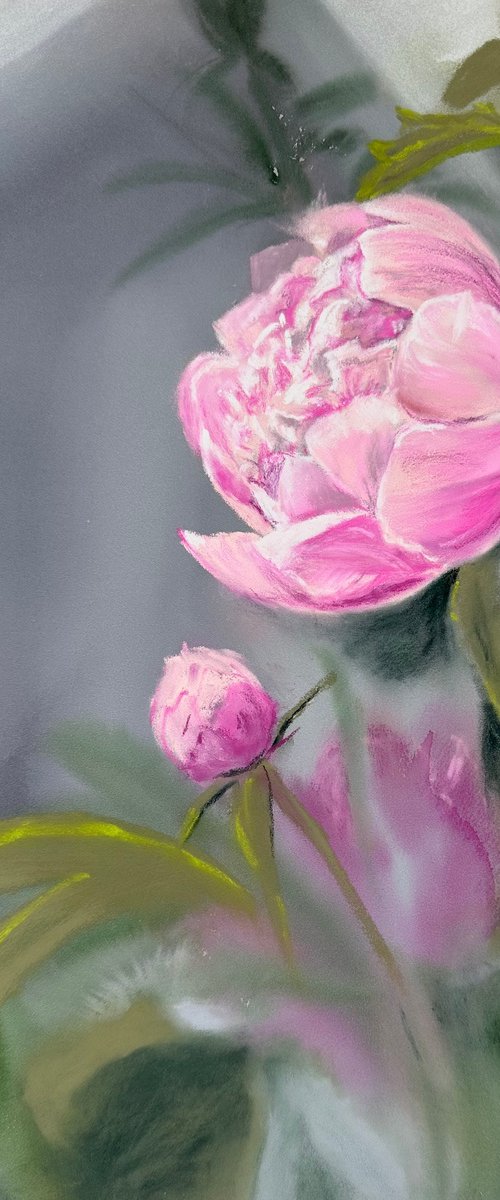 Pink Peony 2 by Alla Semenova