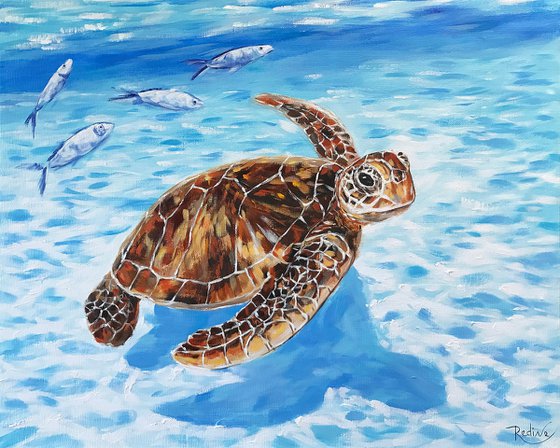 Sea turtle