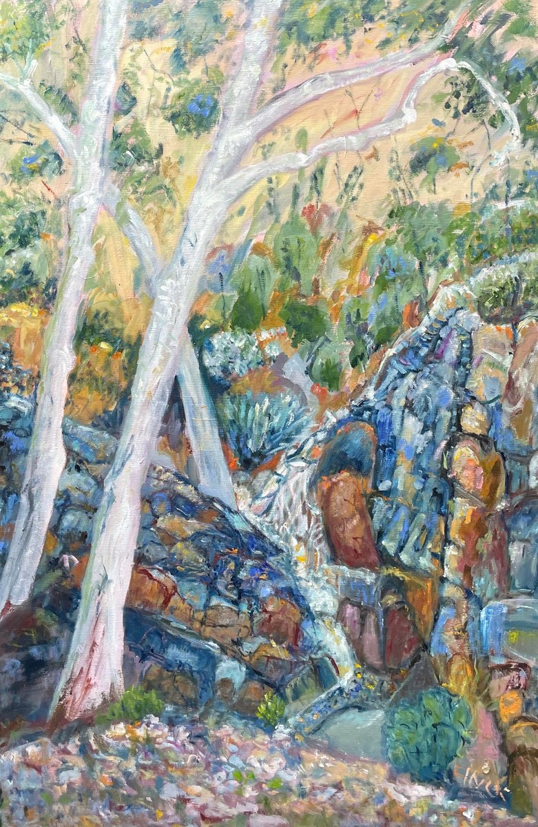 Impressionistic Landscape Oil Painting By Maureen Finck, 24 X 36", White Gum Trees, Original Artwork