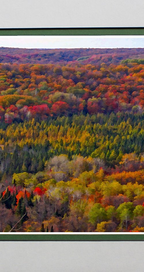 Technicolour Fall by Robin Clarke