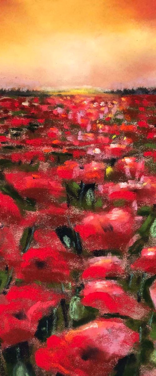 Poppy Fields by Amy Leckie