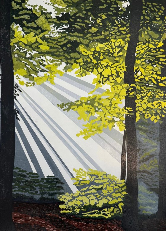 Sunbeam Forest
