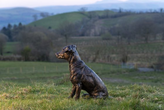 'Missy' Jack Russell sculpture