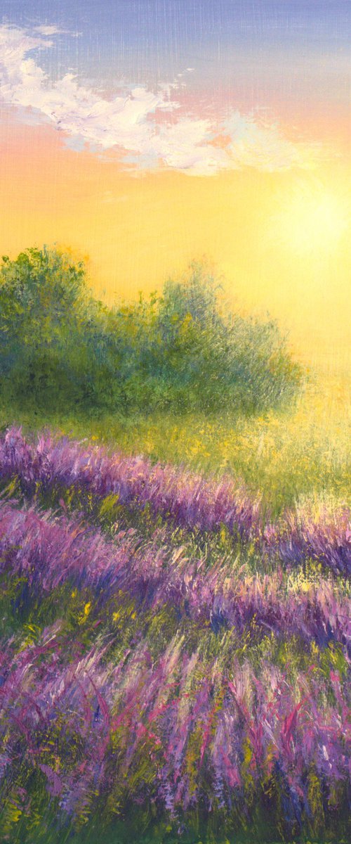 Sunrise at lavender field by Ludmilla Ukrow