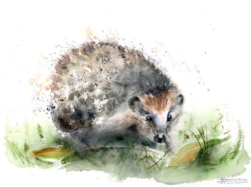 Hedgehog by Olga Shefranov (Tchefranov)