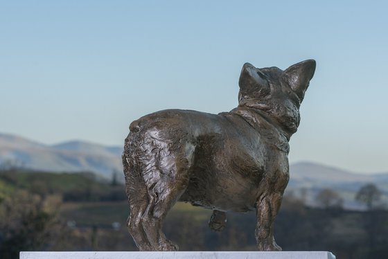 French Bulldog Lifting Paw BR