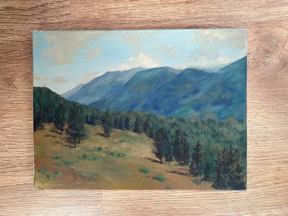 Blue mountains
