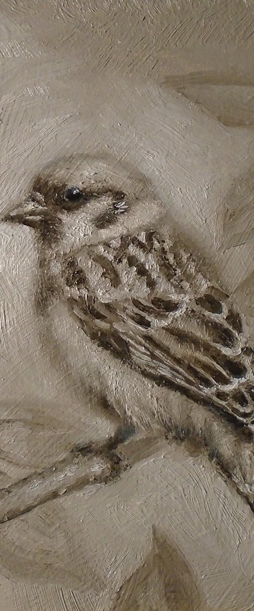 Tree Sparrow study by Michael Mullen