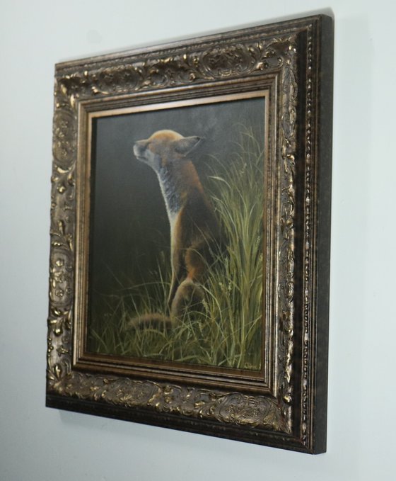 Fox in the Sun Animal original, Foxes Oil Artwork