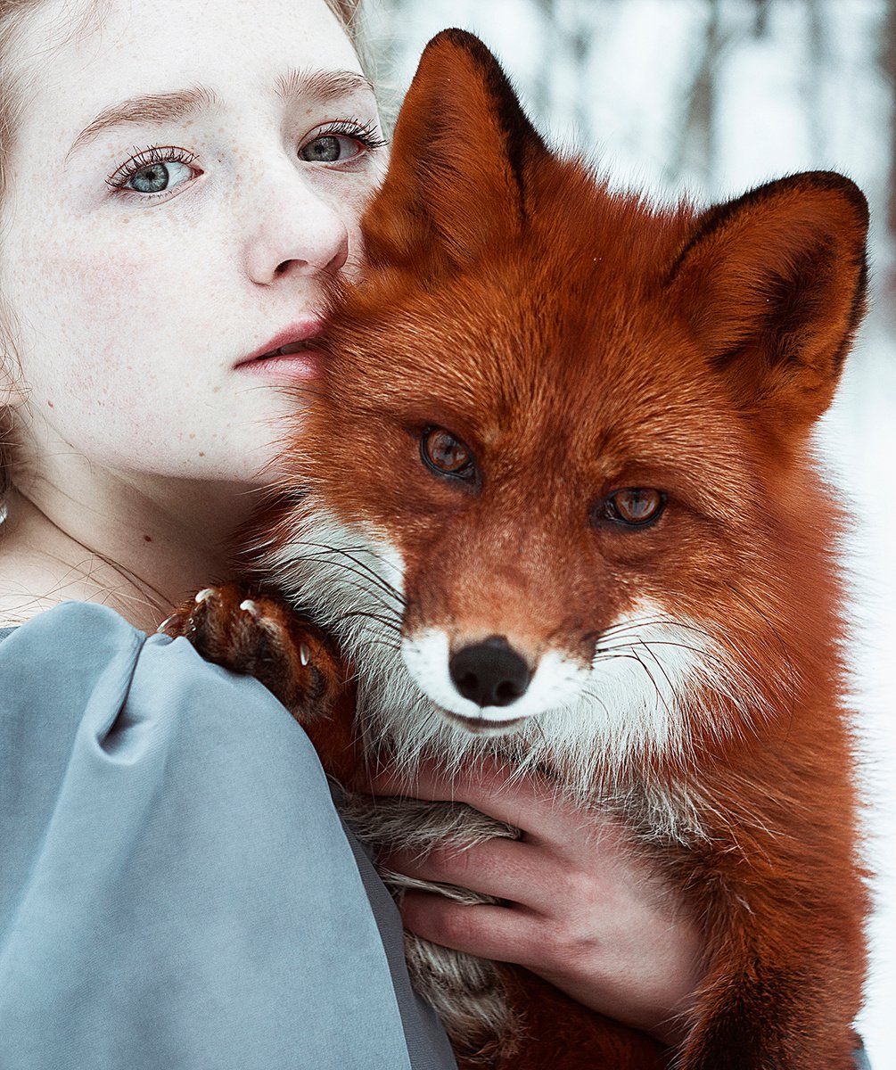 Foxes by Alexandra Bochkareva