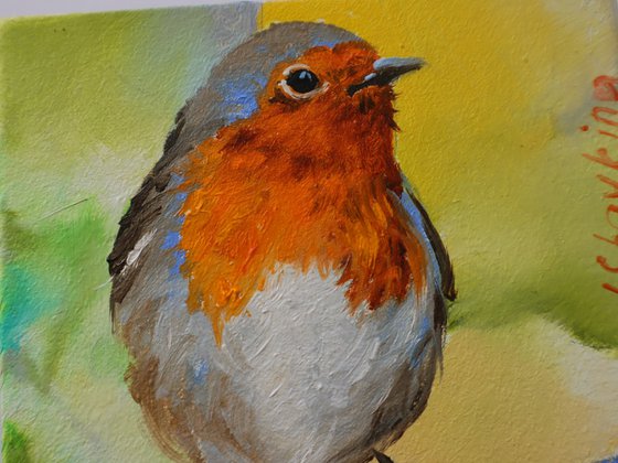 Robin