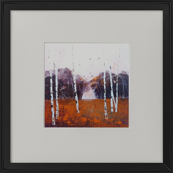 Seasons - Autumn Birches Coppice framed