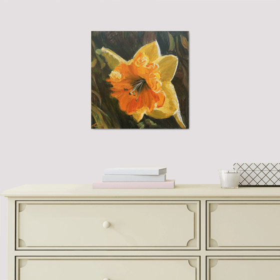 Narcissus