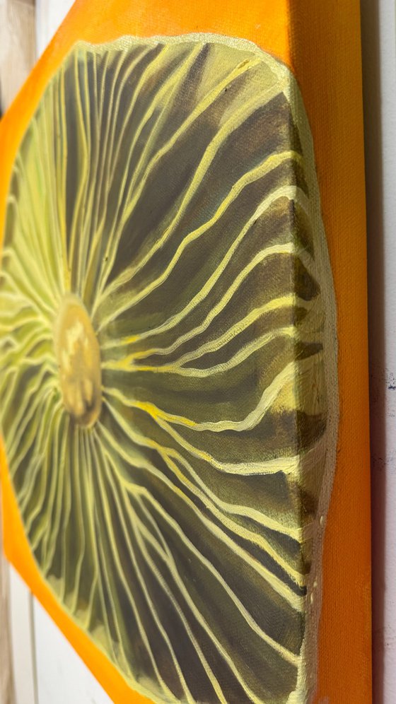 Fungi#004