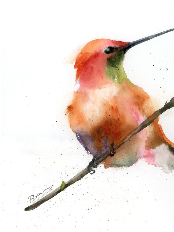 Hummingbird on a branch