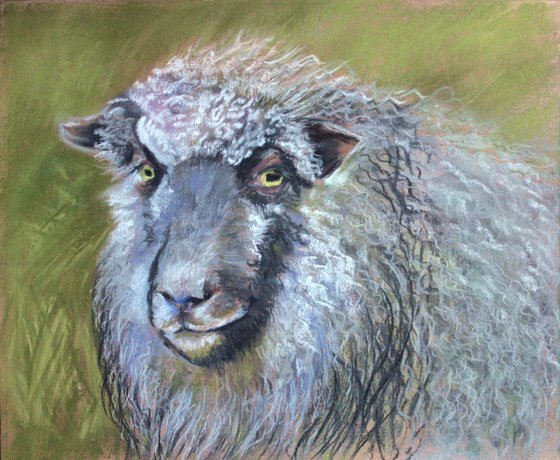 Sheep... /  ORIGINAL PAINTING