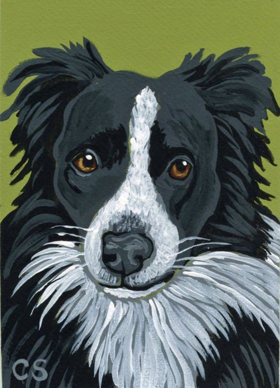 ACEO ATC Original Miniature Painting Black Border Collie Pet Dog Art-Carla Smale