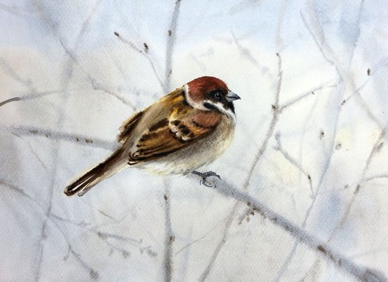 SPARROW Bird  Watercolor Sparrow Watercolor Bird  Steadfast