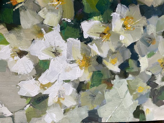 jasmine