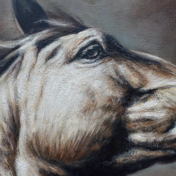 Power and Elegance - Original Horse Portrait