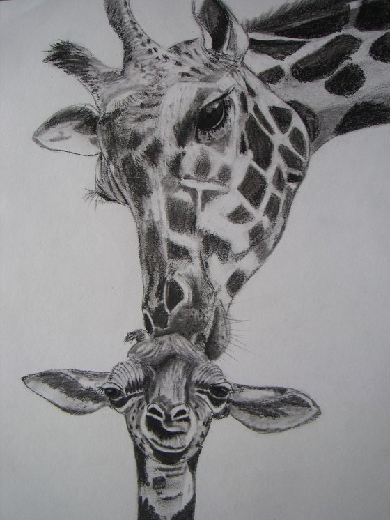 Mum and baby giraffe