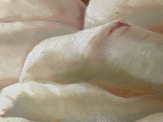 Flemish Roses Duet