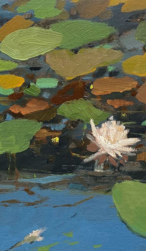 Lotus flower by Bohdan Vykhrenko