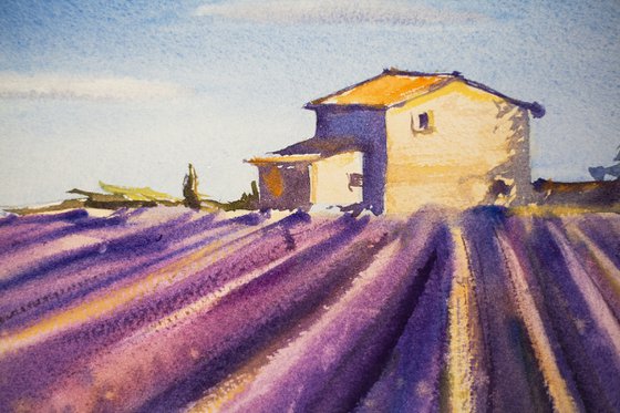 Lavender field in Provence. Medium watercolor pastel drawing bright colors France